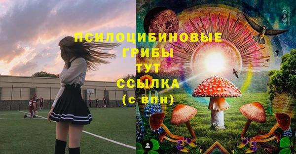 МДПВ Аркадак